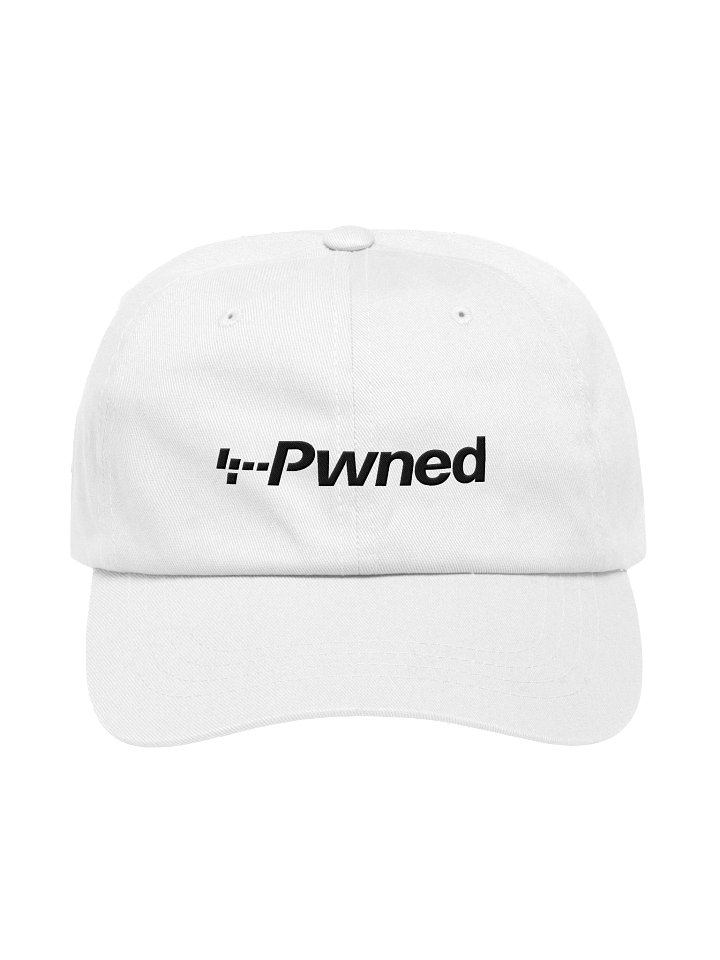 Pwn Patrol product image (2)
