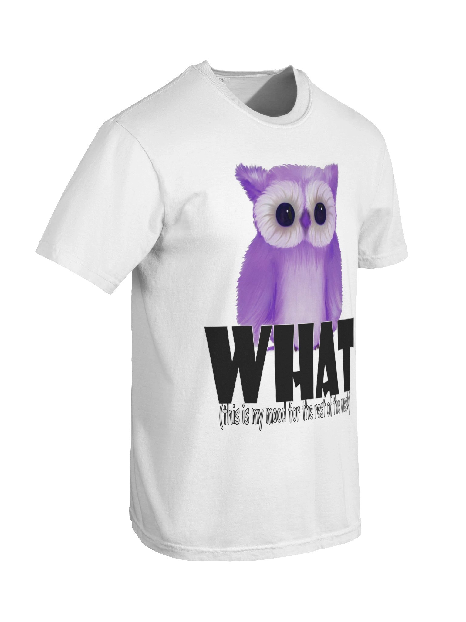Owl "WHAT" T-Shirt. Men's Comfort Colors Garment-Dyed Heavyweight T-Shirt product image (5)
