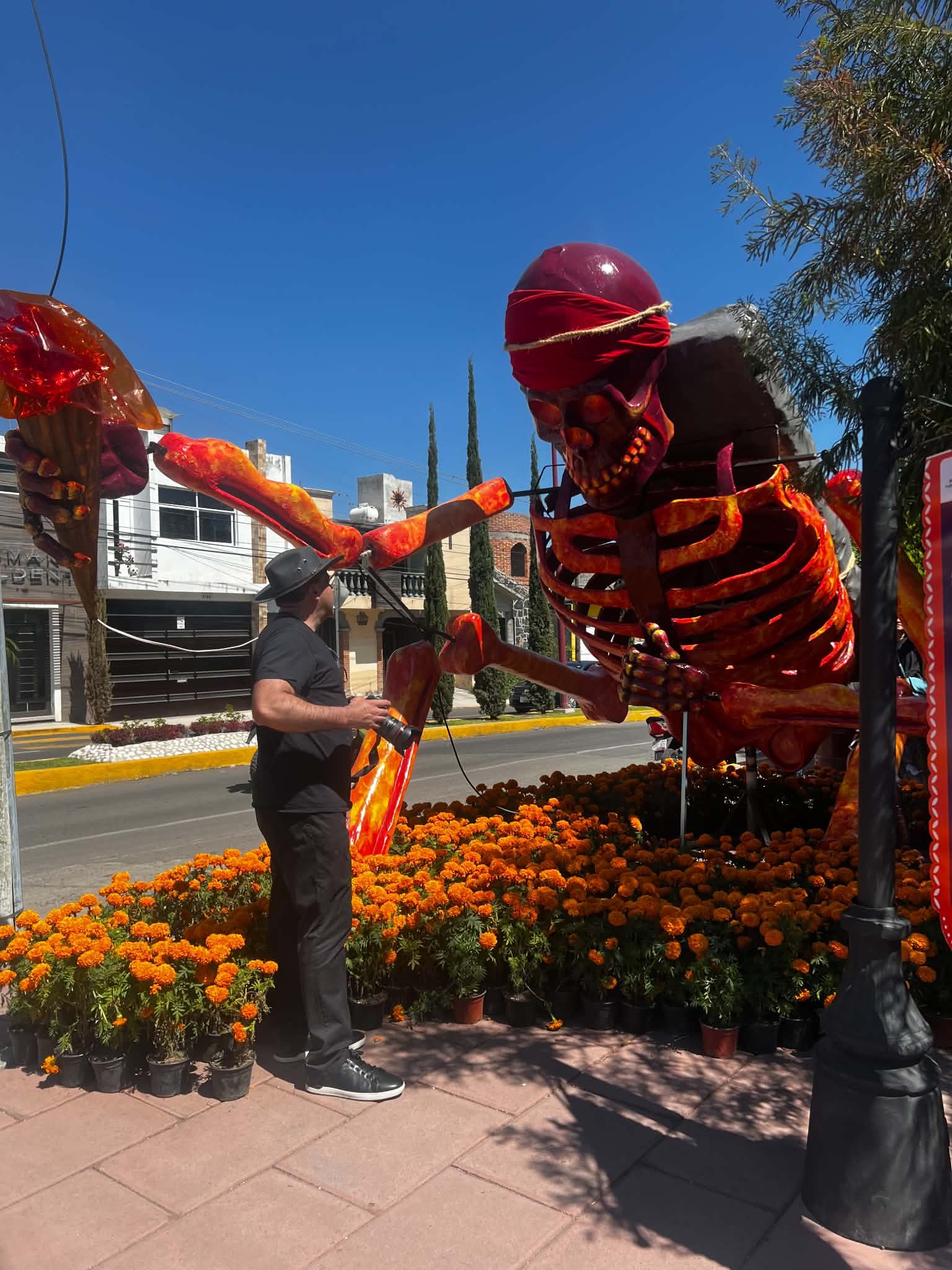 Tour. Campos de Cempasuchil y Valle de las Catrinas en Atlixco product image (4)