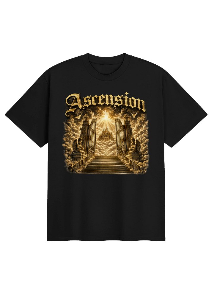 Ascension T-Shirt product image (1)