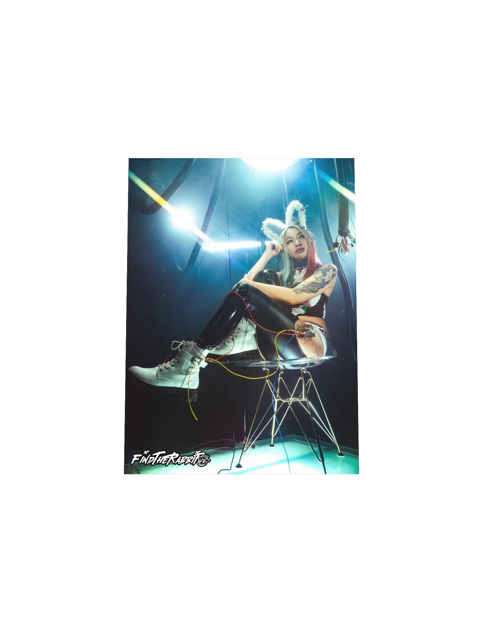FIND THE RABBIT MATTE POSTER PRINT product image (4)