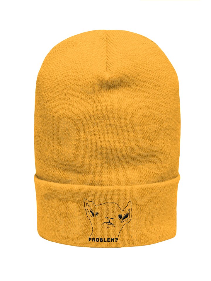 PROBLEM? - CUFFED BEANIE product image (11)