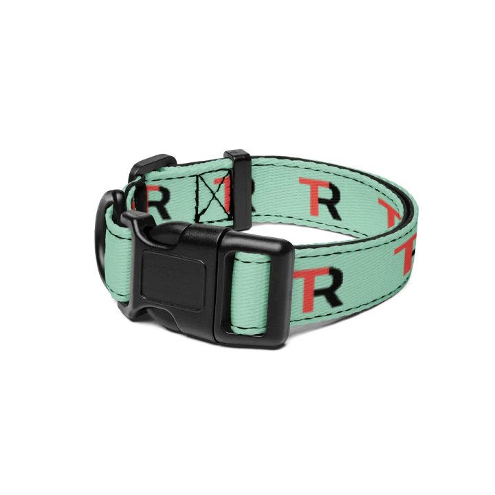Rowdy Tuesday - Pet Collar product image (1)