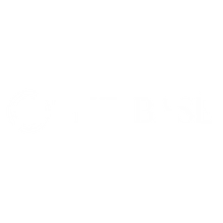 THE BASE