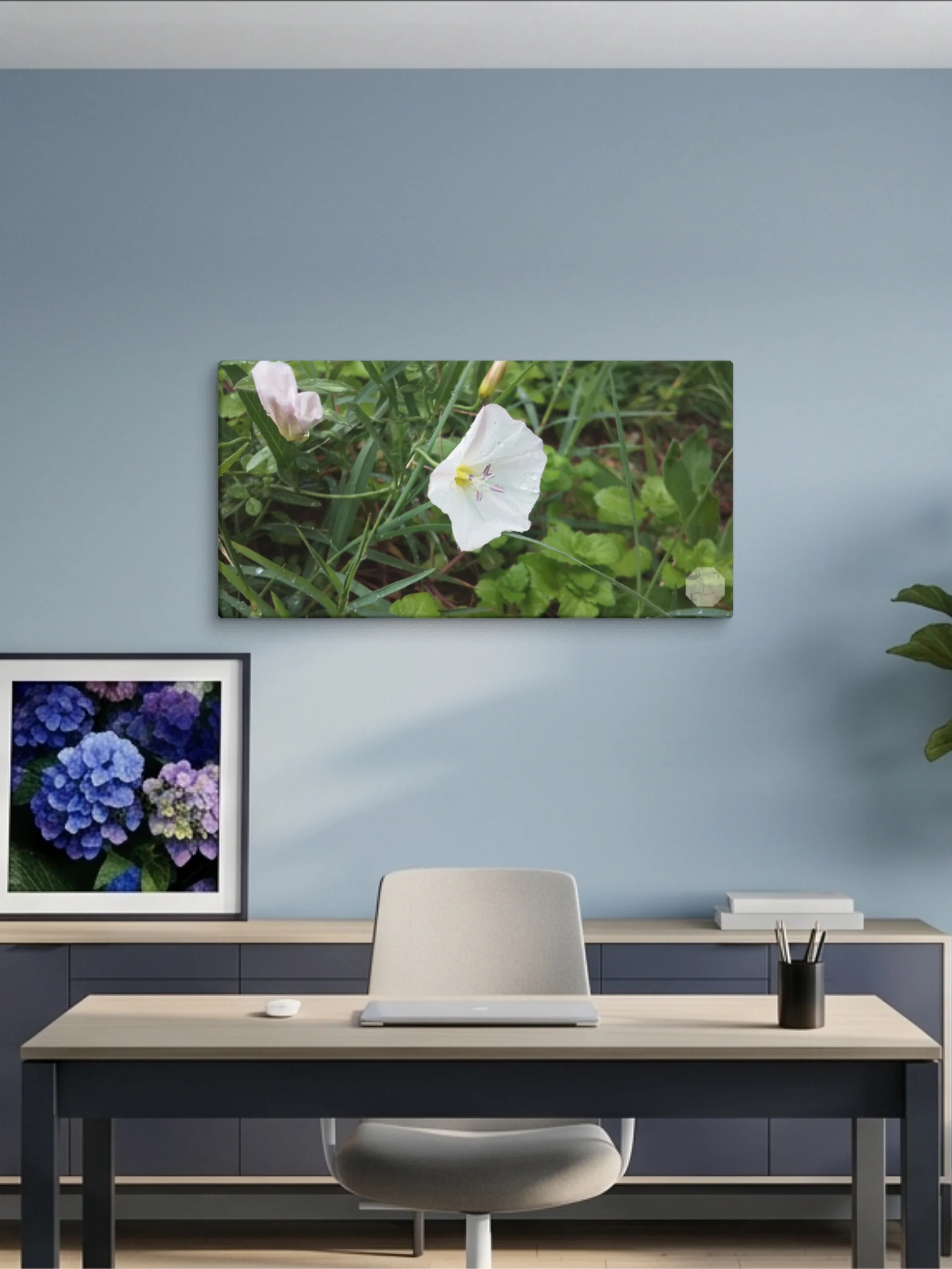 Petunia - Canvas Fine Art product image (1)