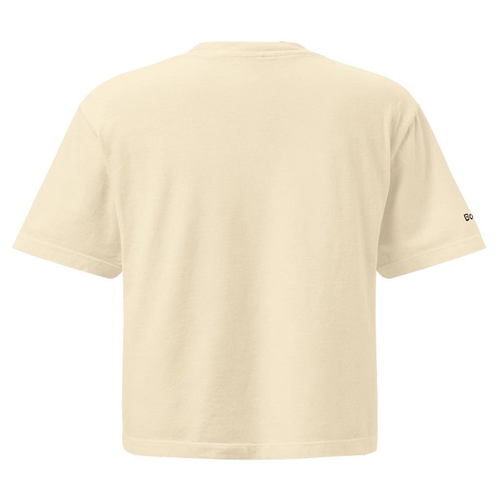 Embroidered Disco Skull Boxy Tee - Light product image (7)