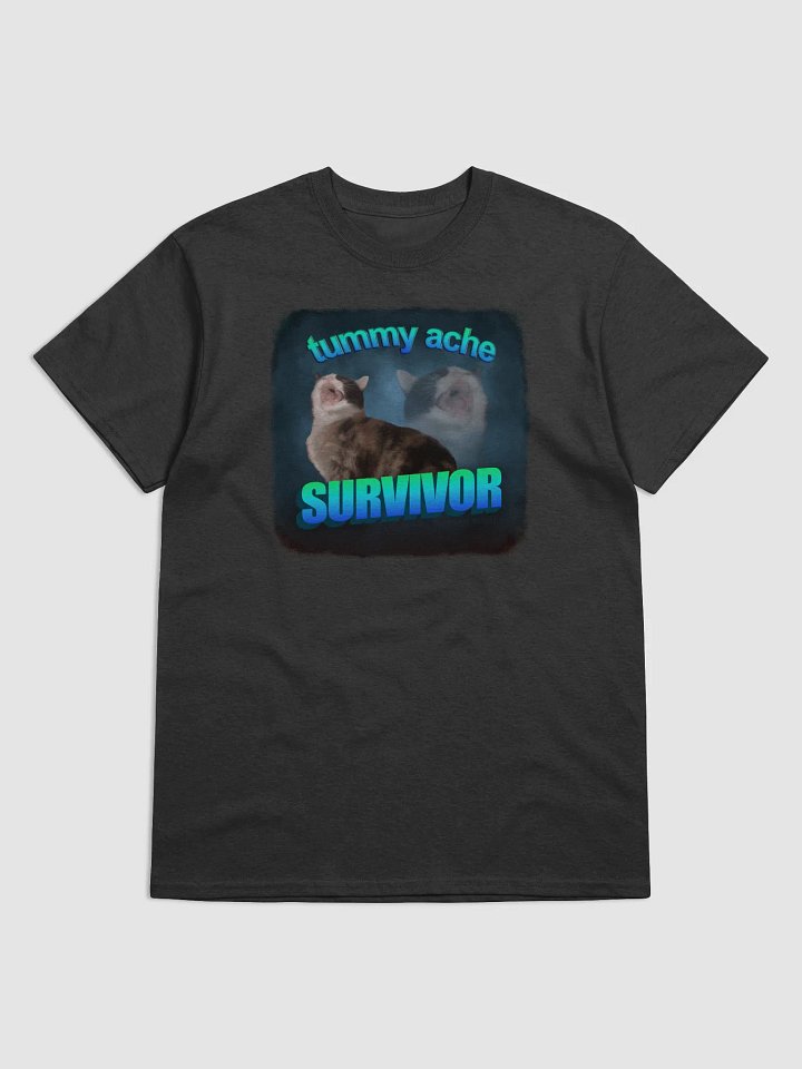 Tummy Ache Survivor - Cat T-shirt product image (1)