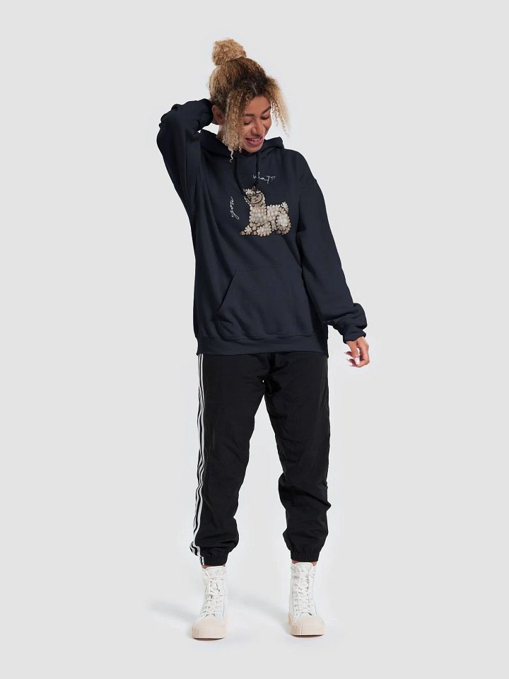 You What? Hoodie product image (2)