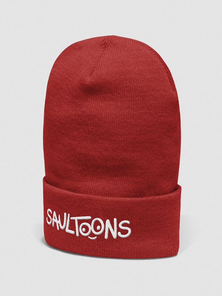 Saultoons Embroidered Beanie product image (10)