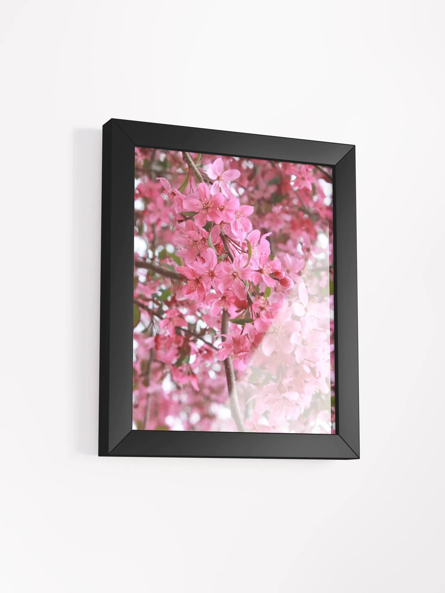 Pink Flowers product image (3)