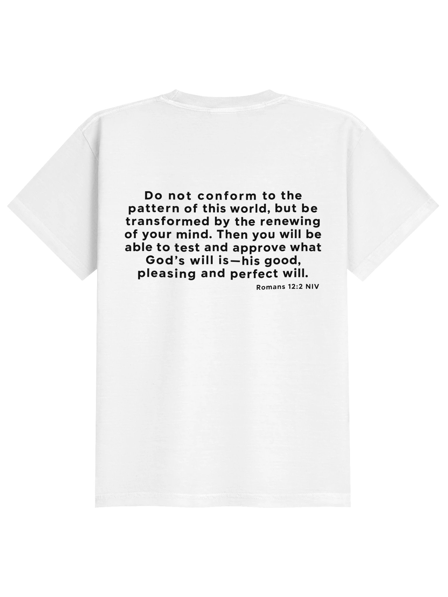 Biblical Truths: White Rebel Youth product image (2)