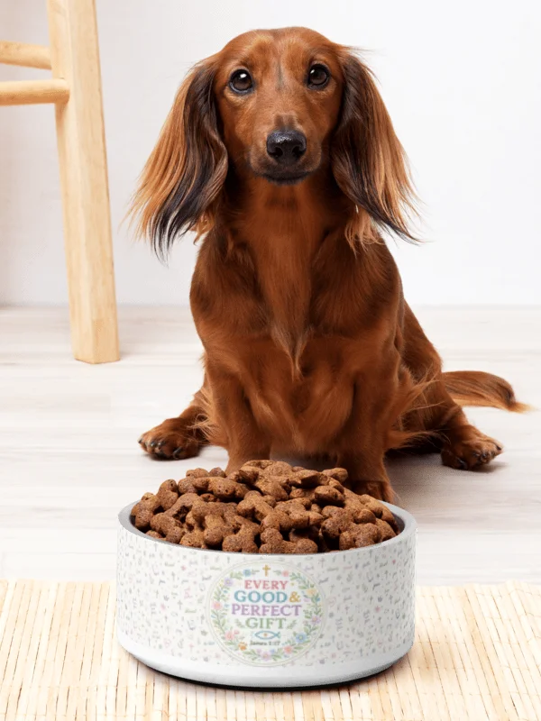 Every Good & Perfect Gift Christian Dog Bowl – James 1:17 Faith Pet Bowl product image (1)