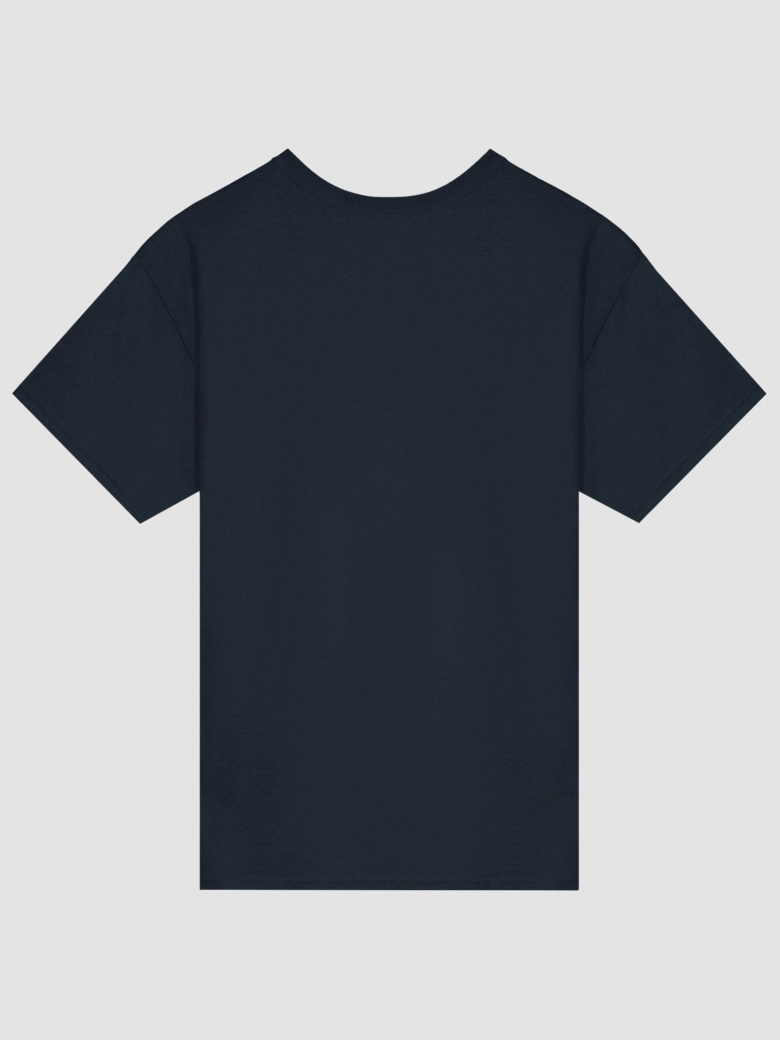 Plotting & Scheming Raccoon T-Shirt product image (3)