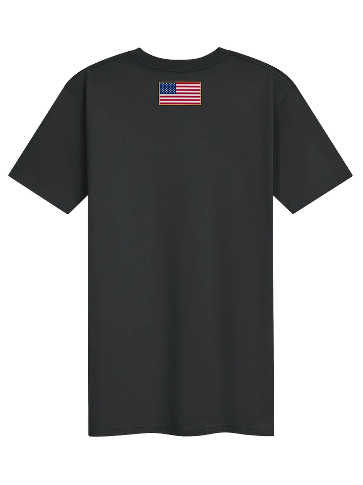 USA250 Winged Logo Tee product image (2)