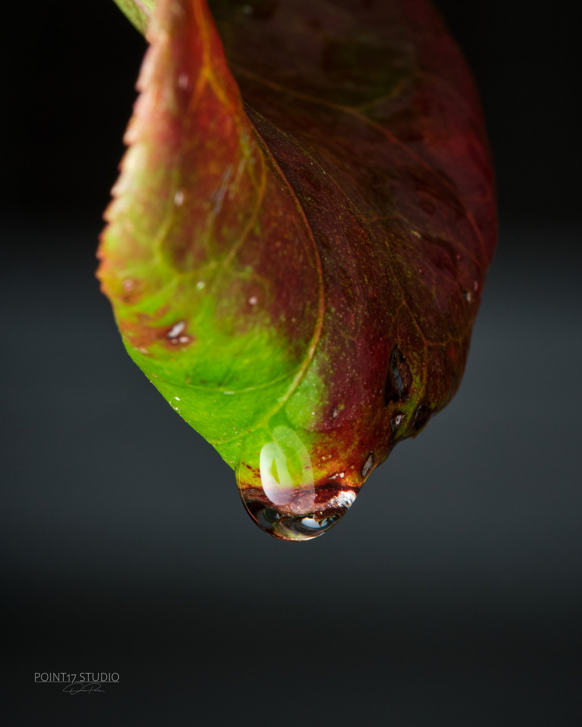 Crystal Drop - Poster product image (9)