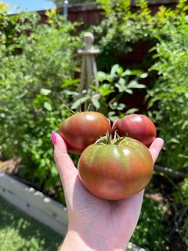 POV: you grow a ton of food and flowers in your tiny yard 🌹

Think you don’t have space to grow your own food? Think again! I...