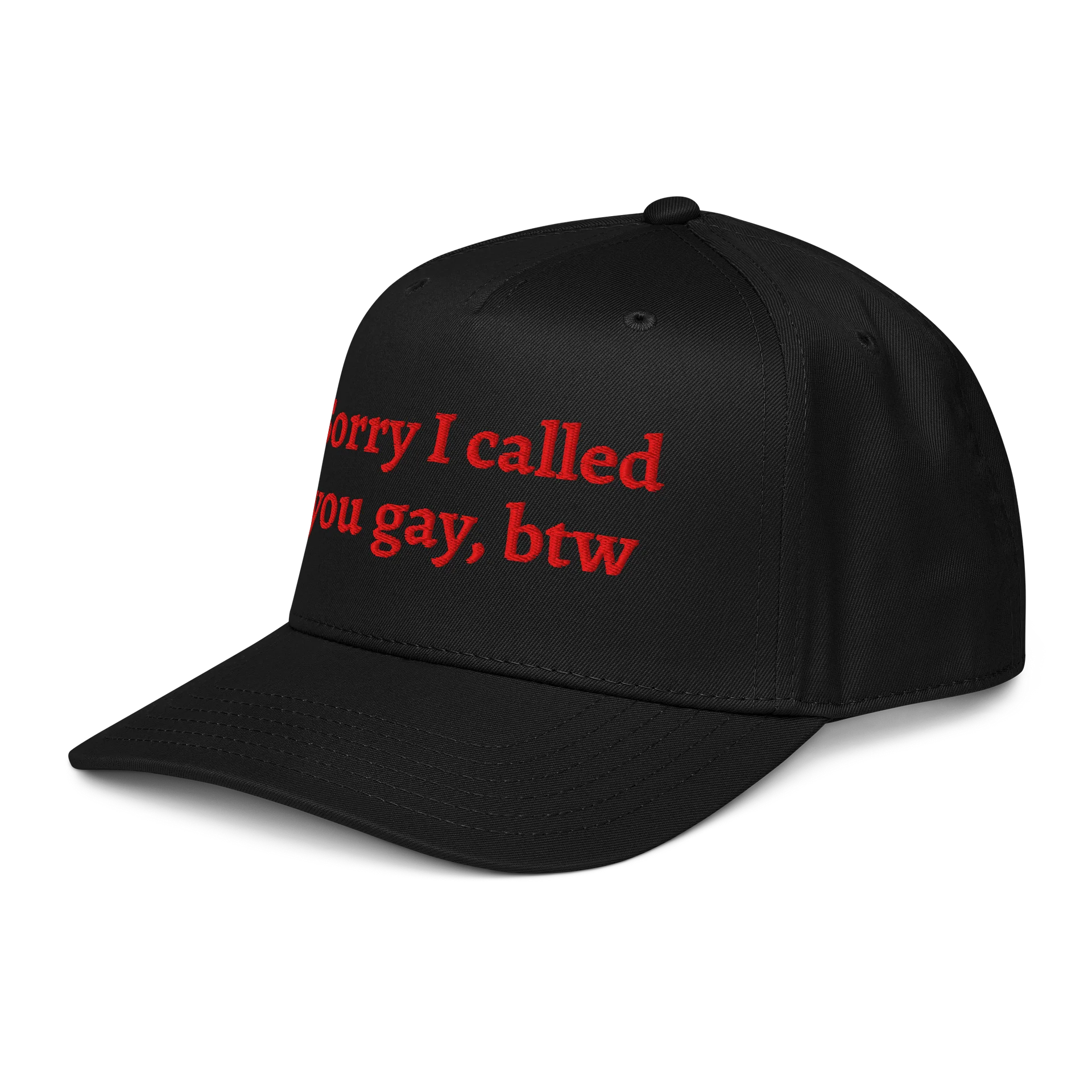 sorry i called you gay btw hat product image (3)
