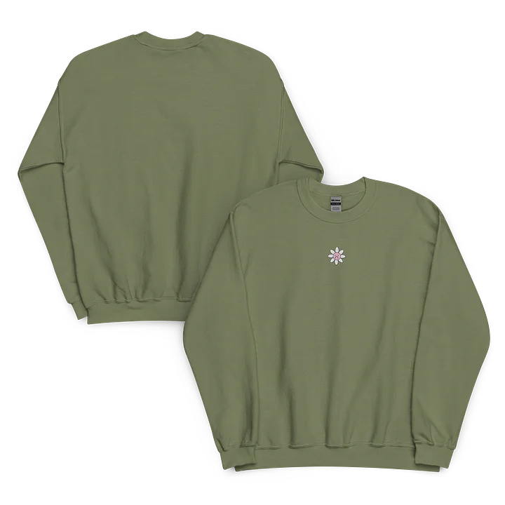 Big Sad Embroidered Sweatshirt product image (1)