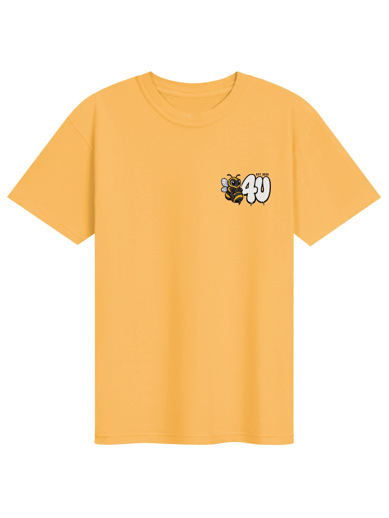 TRY BEFORE YOU QUIT Graphic Tee product image (1)