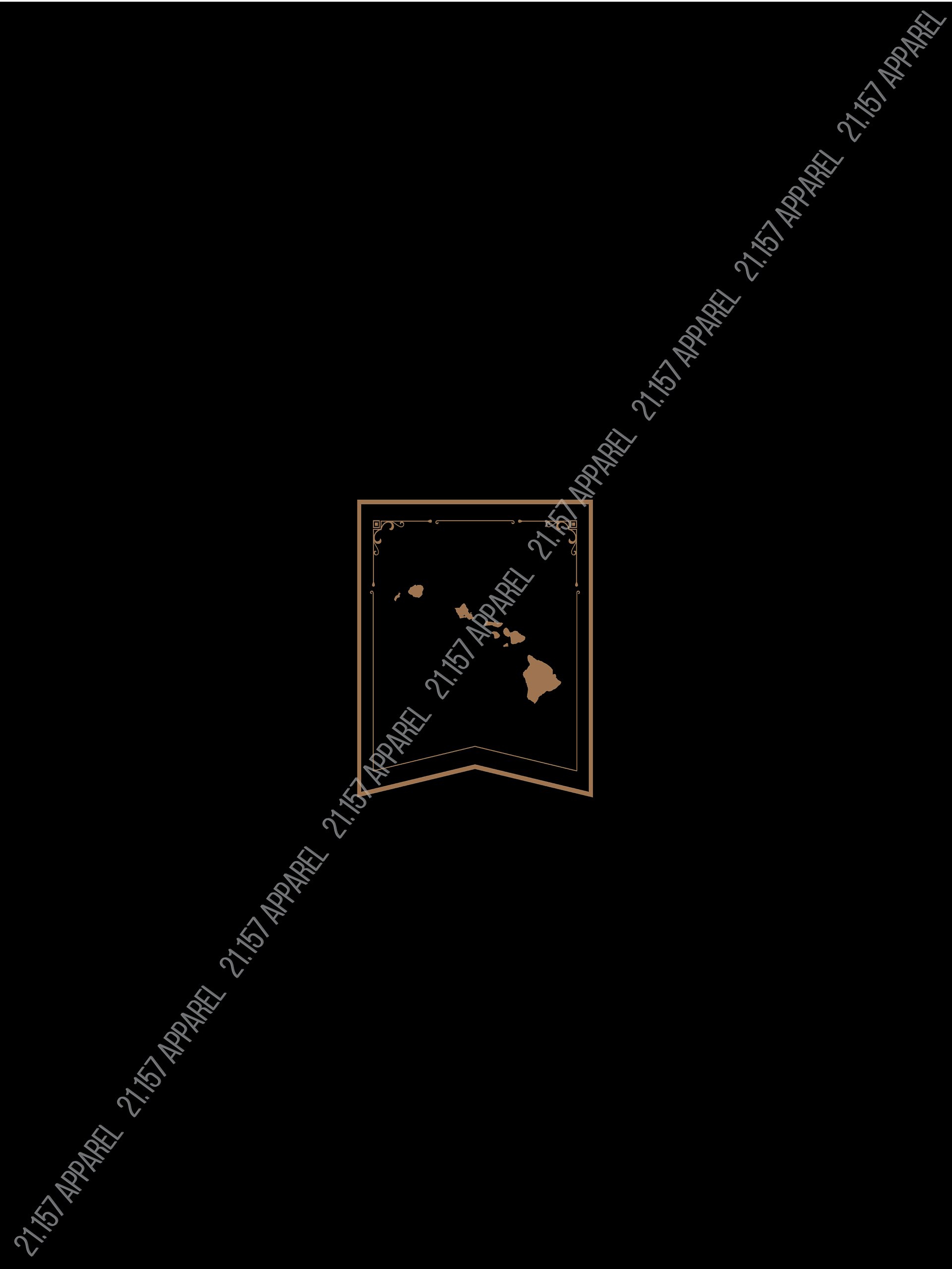 21.157 Vintage (Light Graphic) Shirt product image (6)