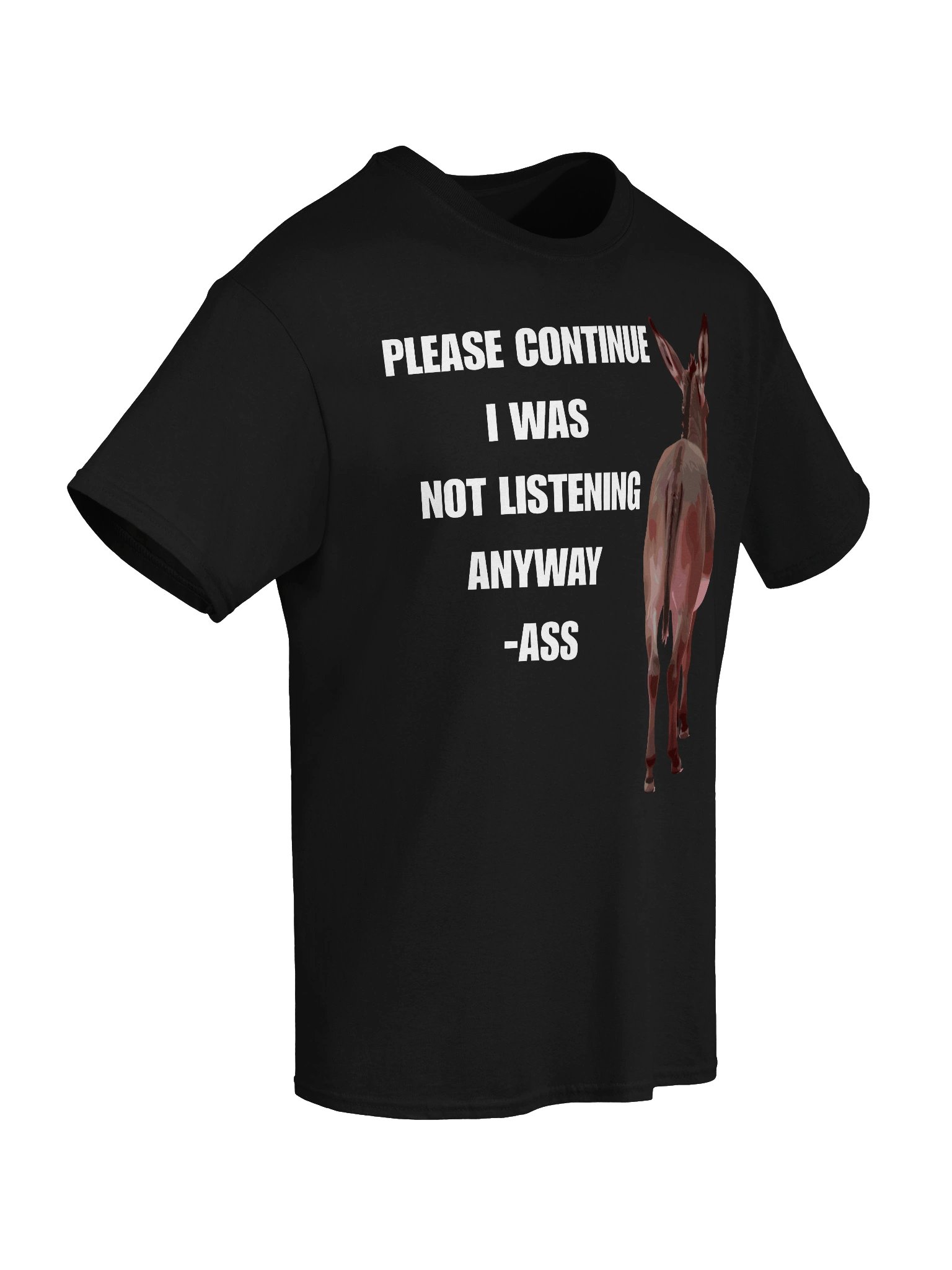 "Please Continue I Was Not Listening Anyway" Funny Sarcastic Humor T-Shirt product image (6)