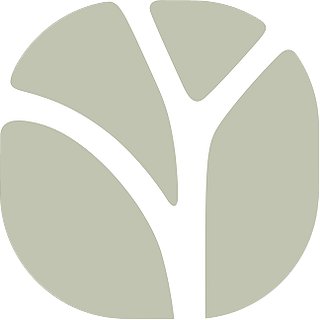 Venation Lab