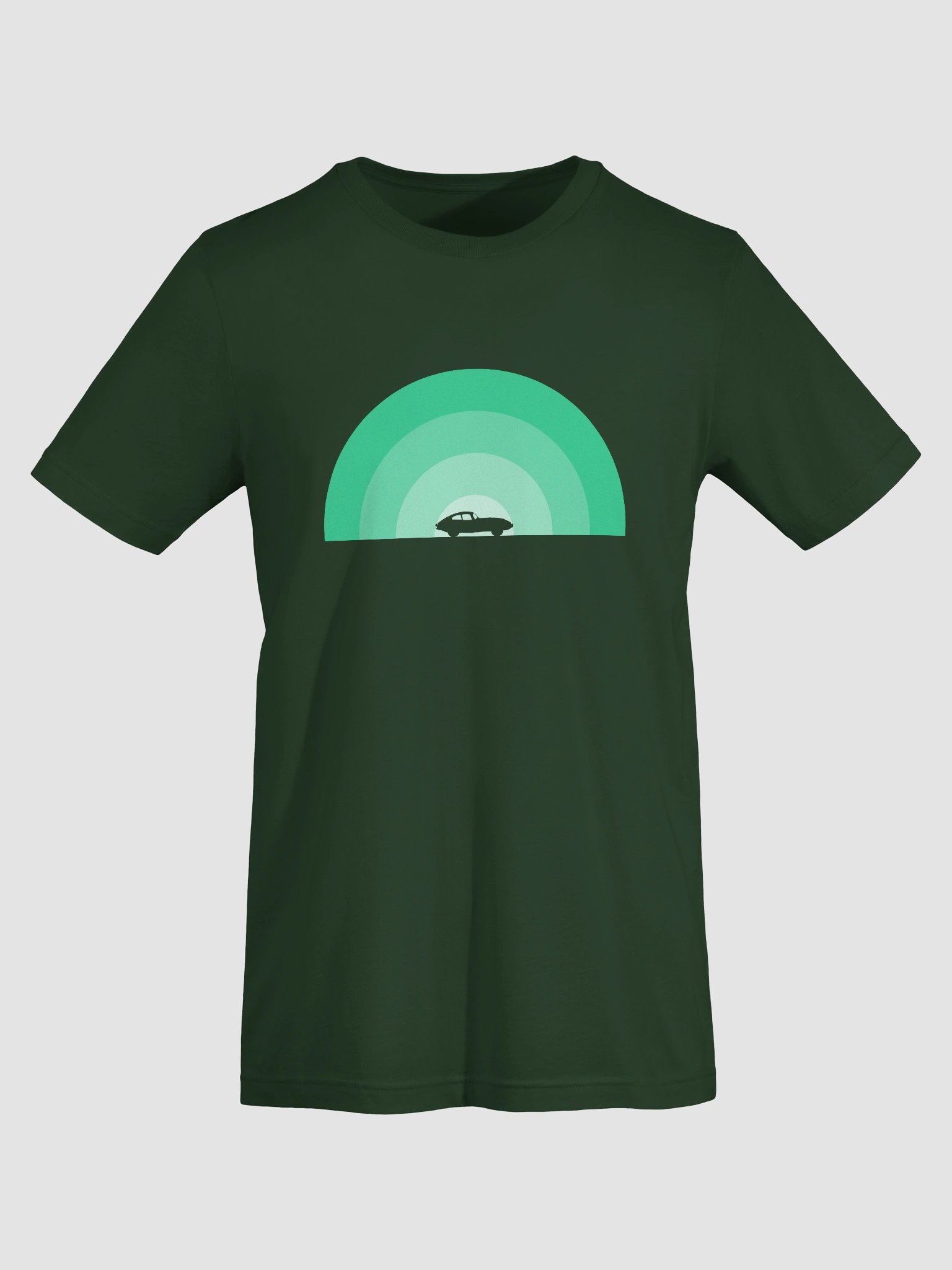 Jaguar E-Type Monochrome Rainbow (Green) product image (7)
