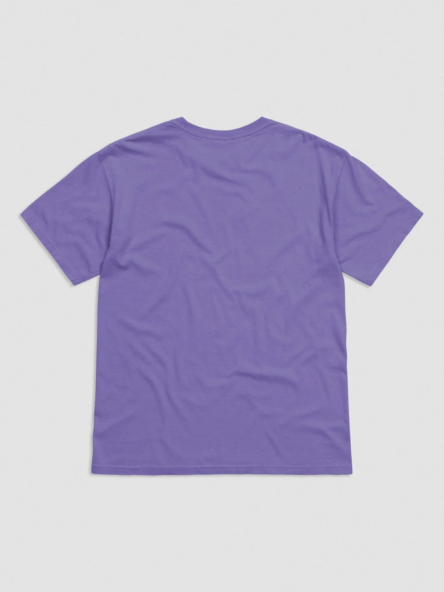 CURRENTLY IN BURNOUT embroidered garment-dyed tee product image (2)