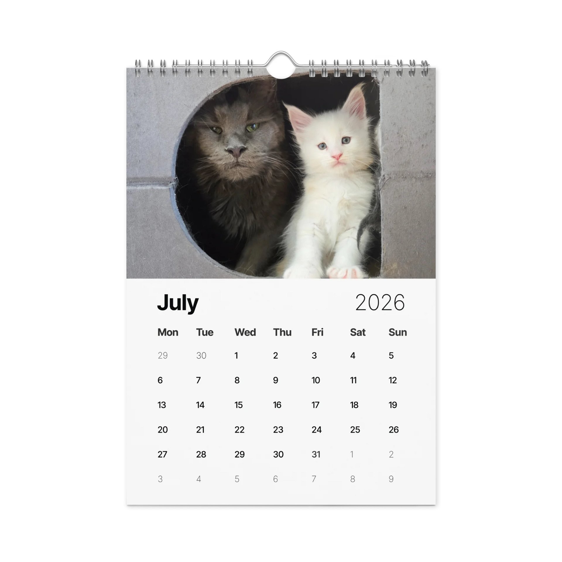 2026 Calendar - Maine Coon Adventures + Kittens product image (8)