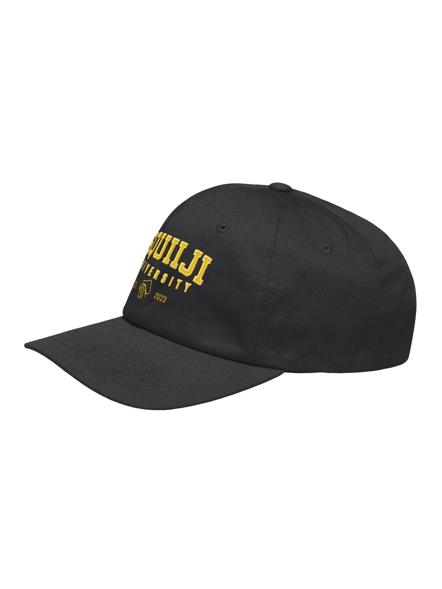 Squiiji University Ballcap product image (15)