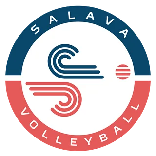 Salava Volleyball/Project D1