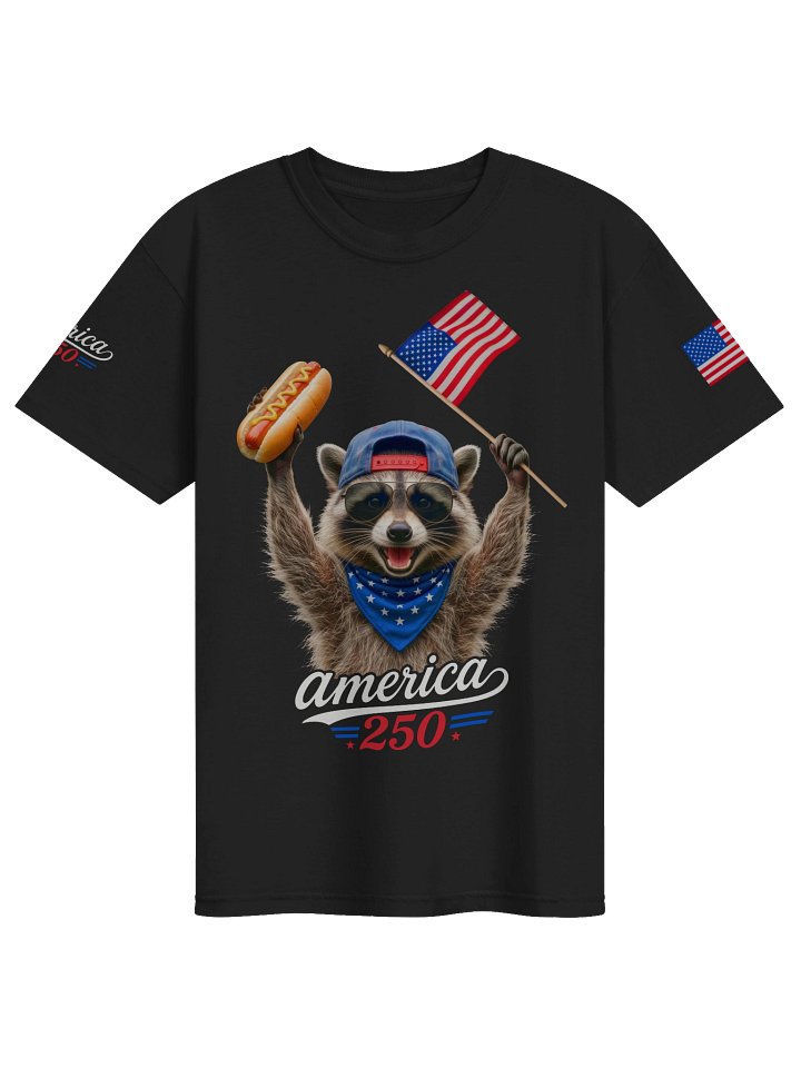 America 250th Independence Racoon T-Shirt product image (1)