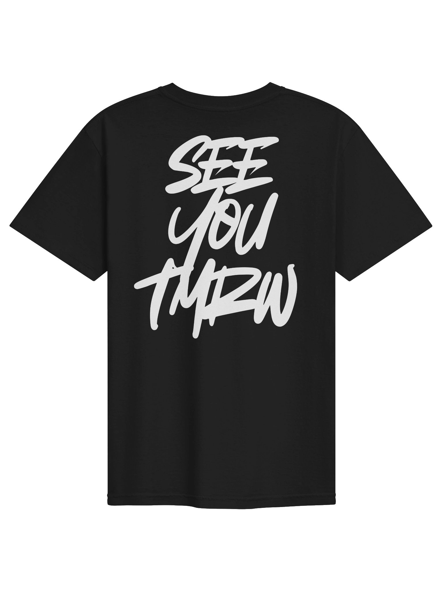 SYT2 tee (white) product image (19)