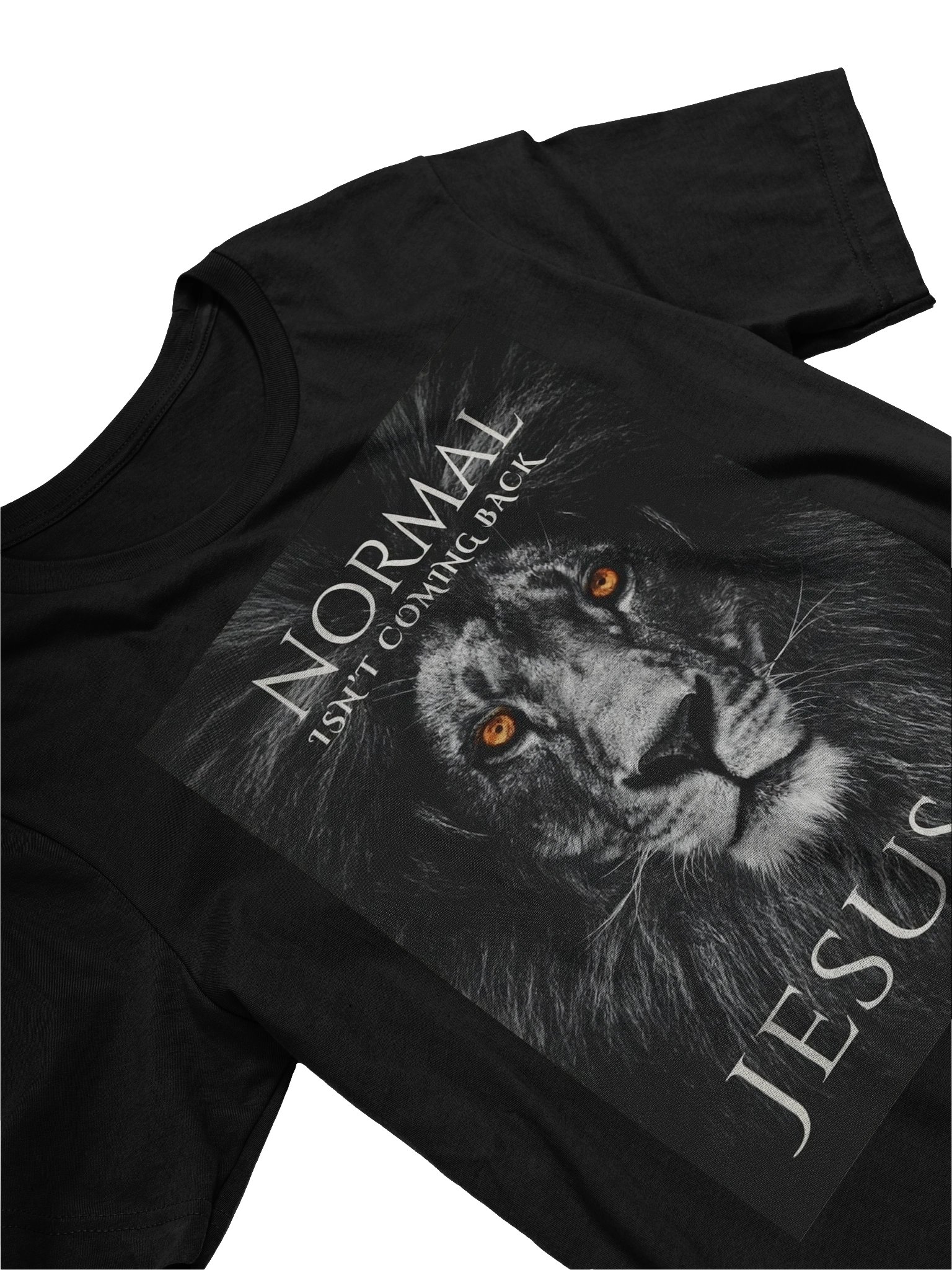 Normal Isn't Coming Back, Jesus Is Lion EDITION Women's Tee - Front & Back product image (3)