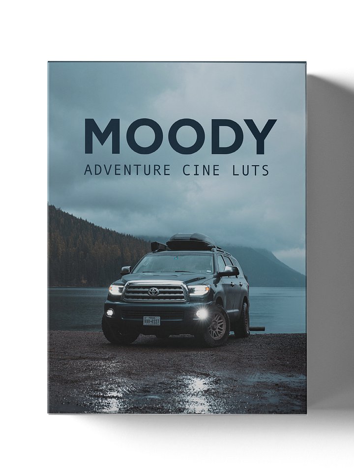 Moody Cine Lut Pack product image (1)