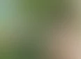 Monthly Q & A's tag thumbnail