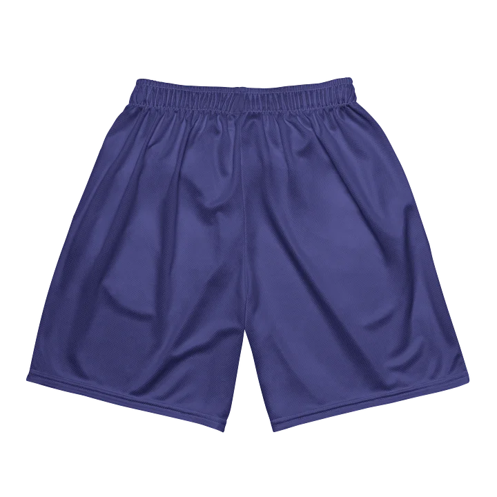 Piper Aircraft Home Shorts product image (2)