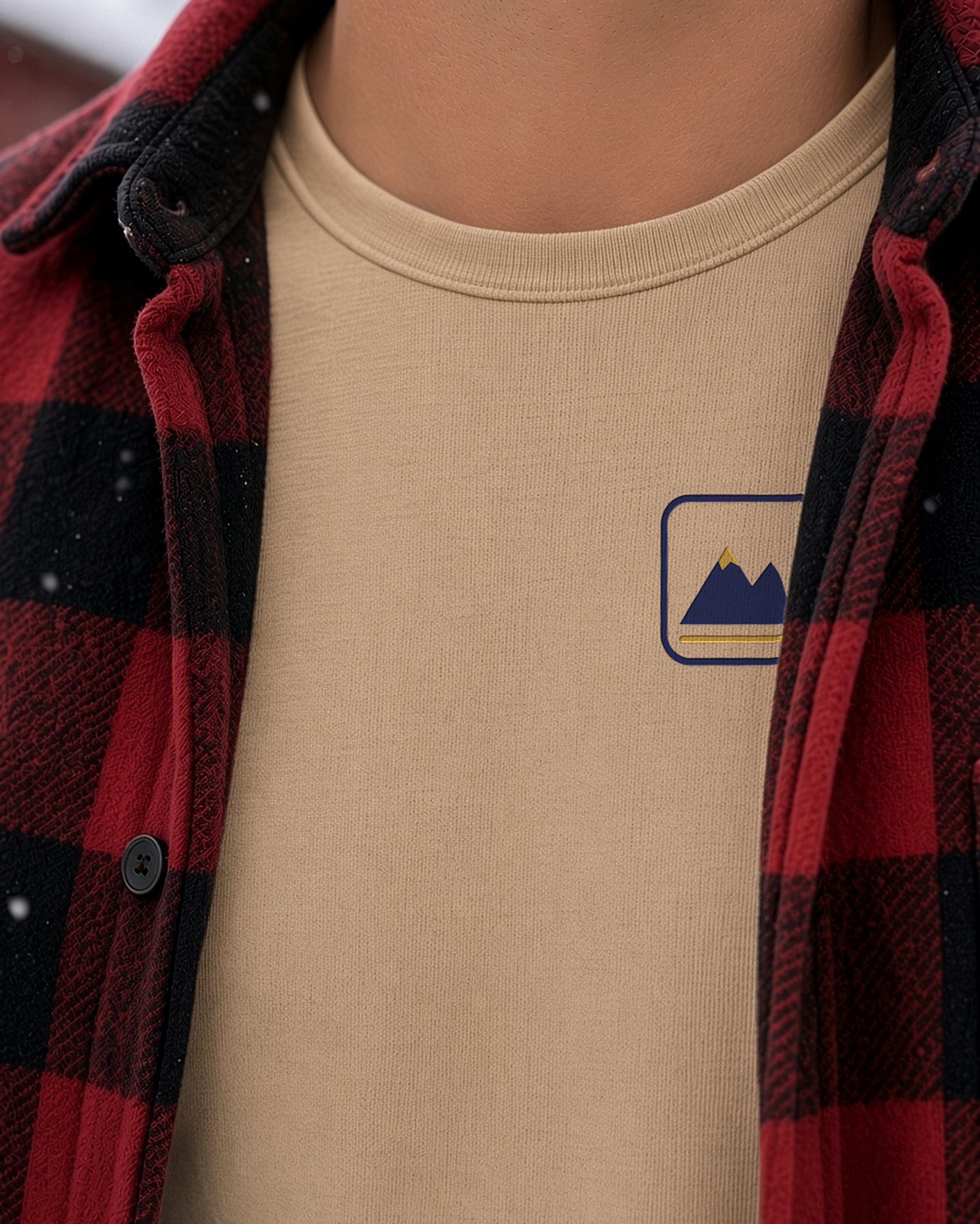 Ridgewell Summit Block Heavyweight Organic Tee | Ridgewell