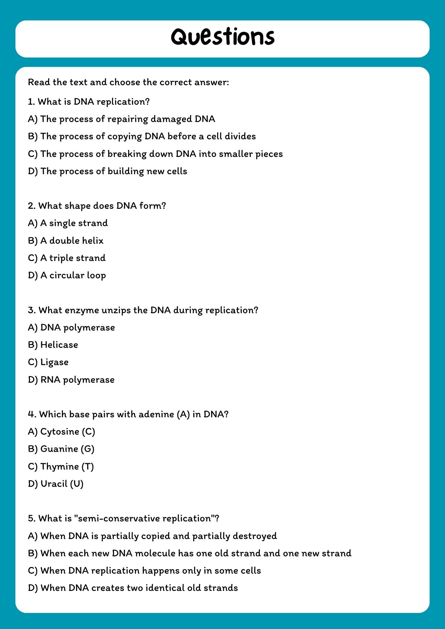 DNA Replication Reading Comprehension Passage & Questions product image (2)
