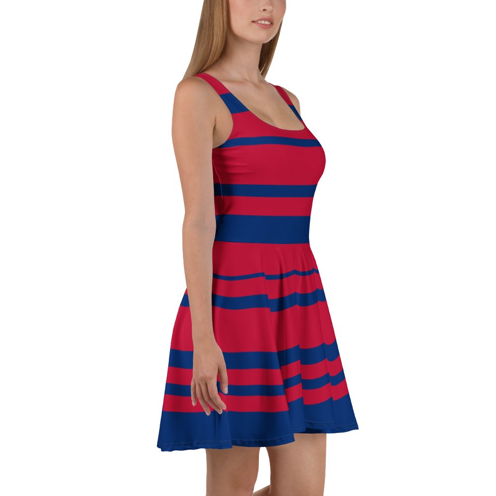 Blue & Red Stripe All-Over Dress product image (5)