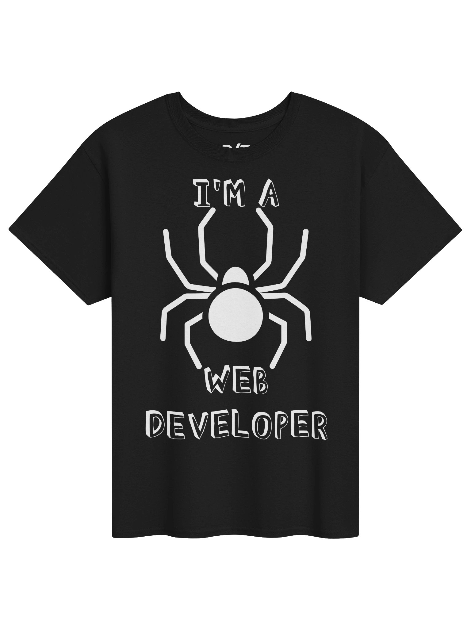 Web Developer product image (1)