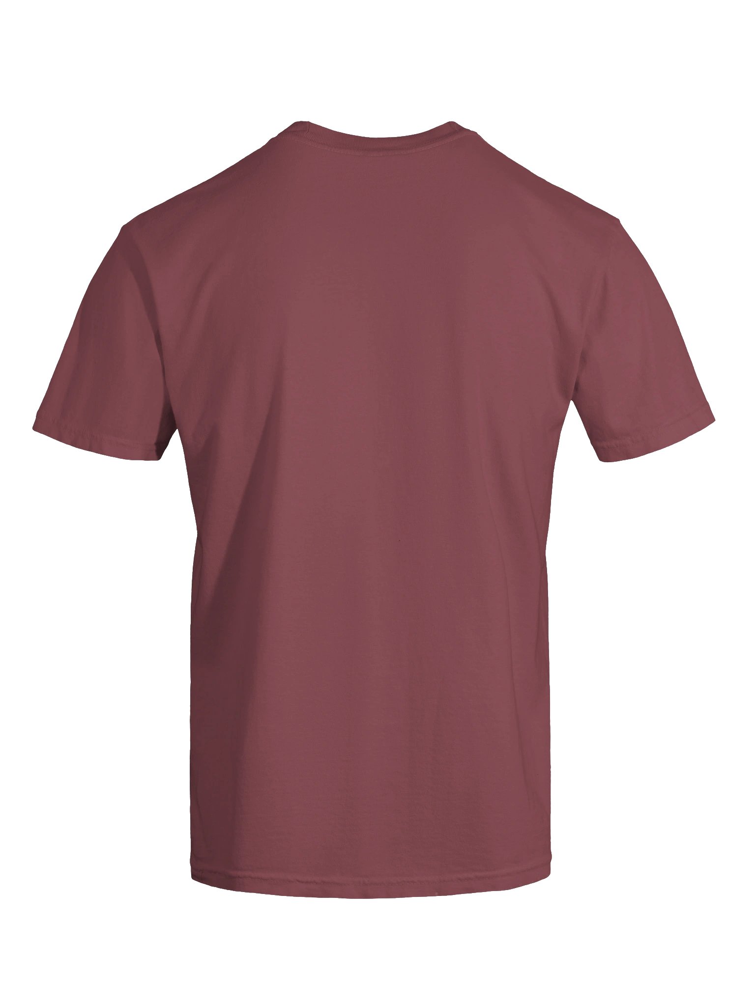 Picasso Clownfish Embroidered Premium Shirt | Saltwater Reef Aquarium Fish & Marine Life Apparel product image (47)