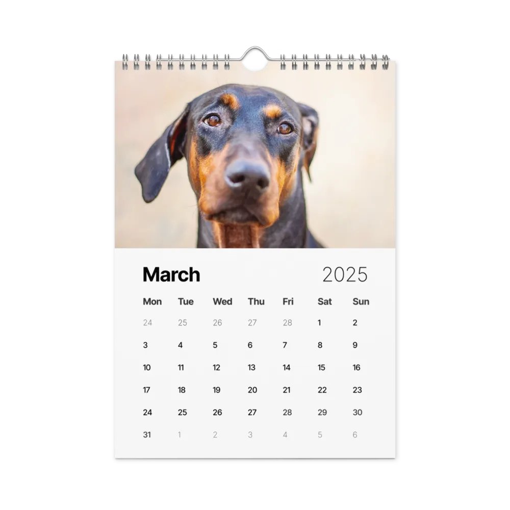 The first year - 2025 Calendar product image (4)