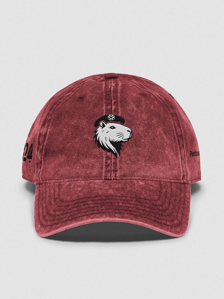 PoKa Symbio Vintage Wash Hat - 2024 product image (1)
