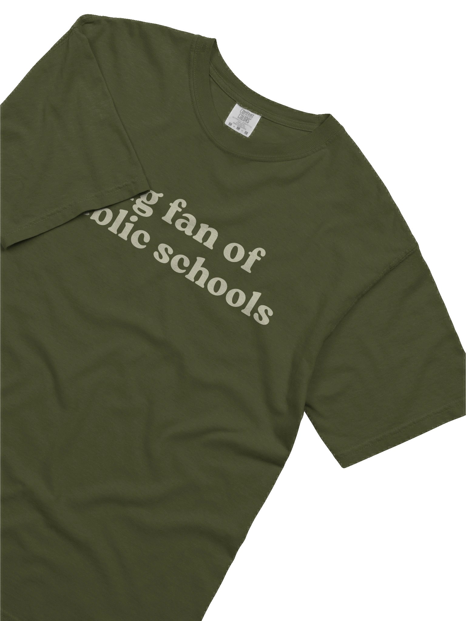 Big Fan of Public Schools Tee product image (5)