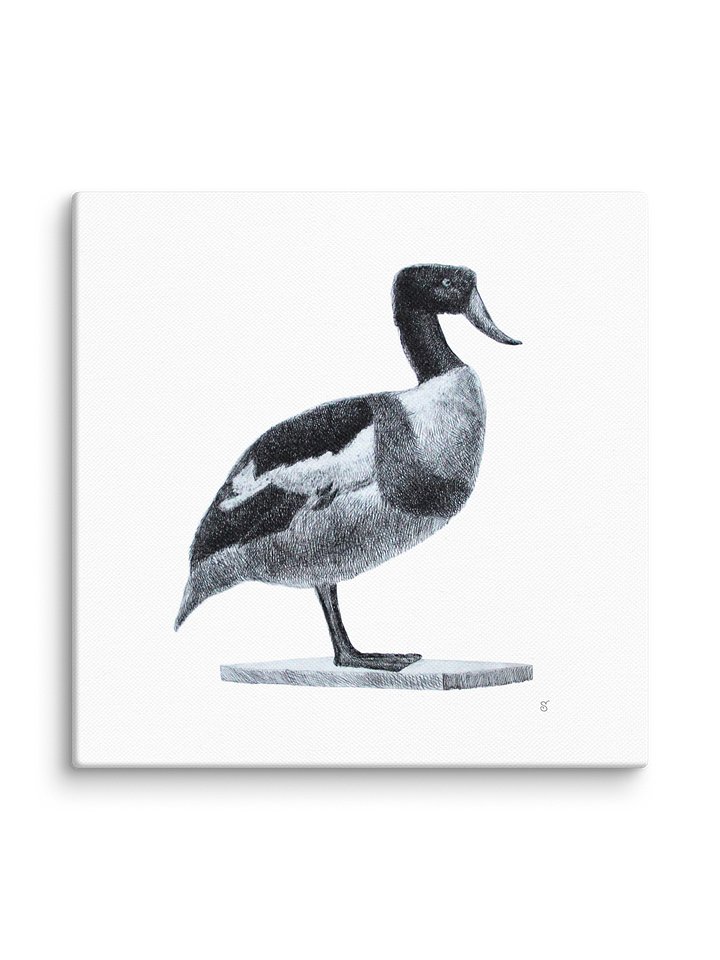 Blank Canvas: Unleash Your Artistic Vision - Duck product image (2)