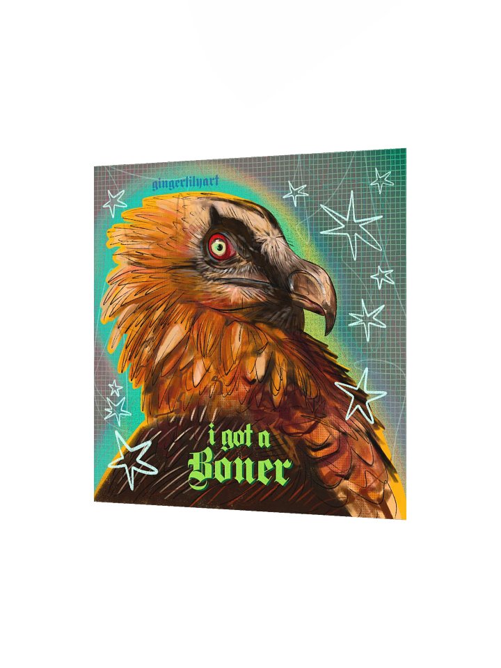 bearded vulture print product image (4)