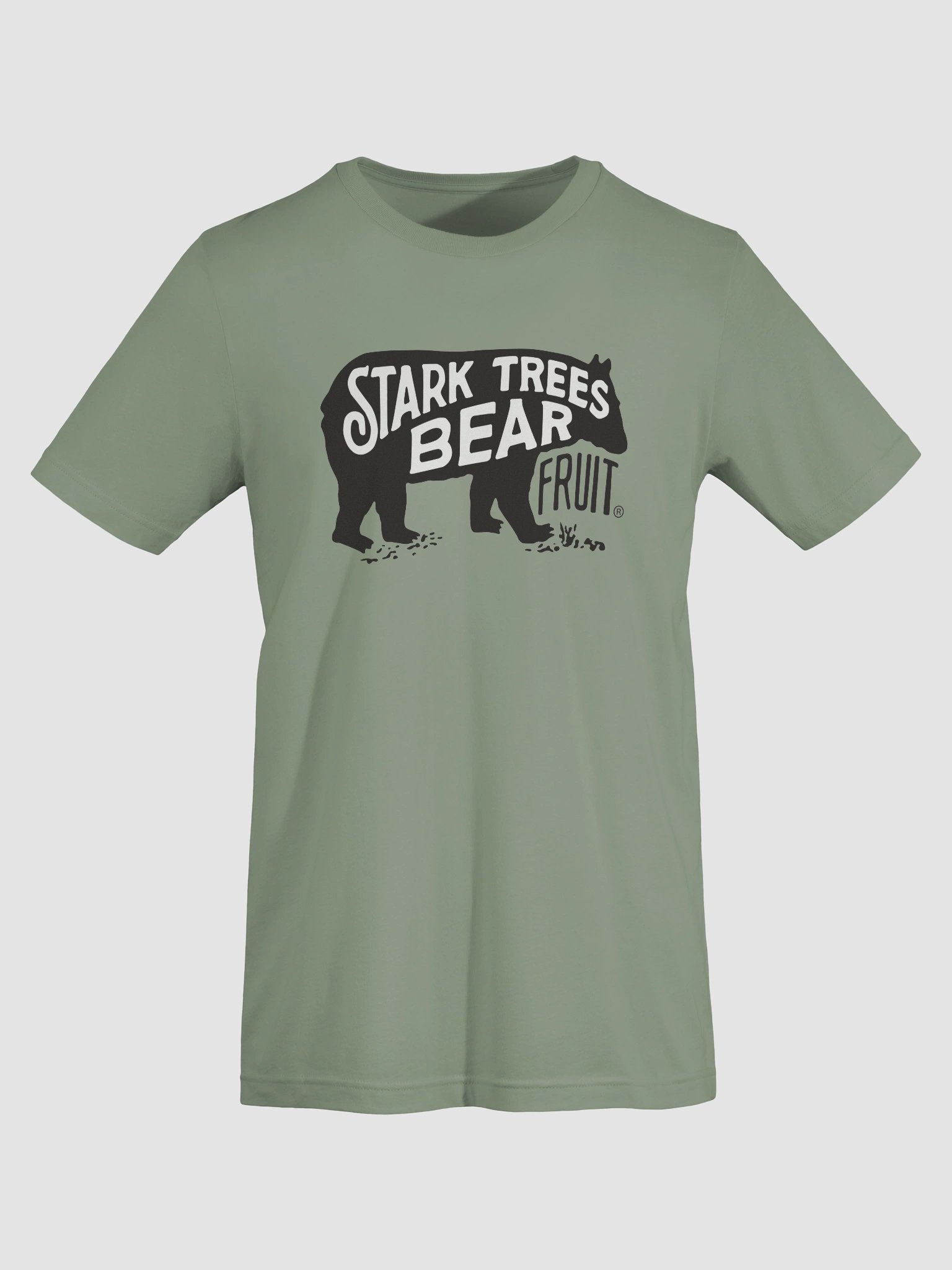 Bear Logo T-Shirt product image (7)