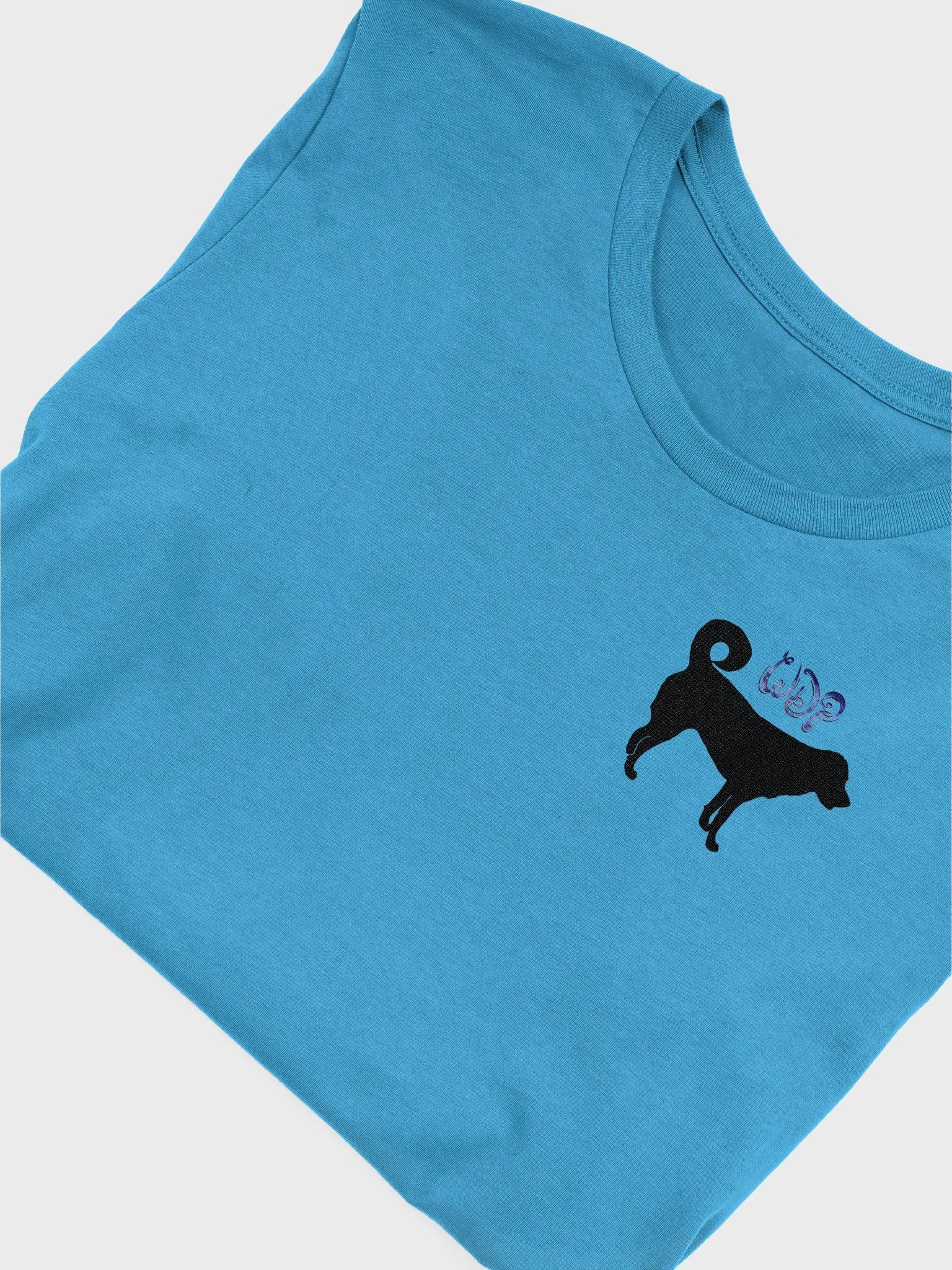 Tailsy Tee product image (58)