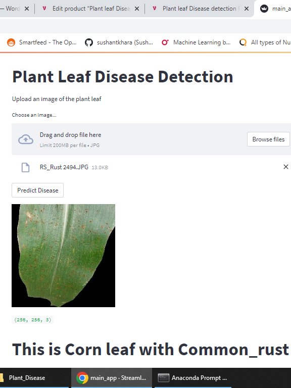 Plant leaf Disease detection Final Year Project with Streamlit App product image (6)